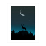 Wild Nature - Nocturne (Print Only) thumbnail