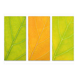 Autumn Leaves (Print Only) thumbnail