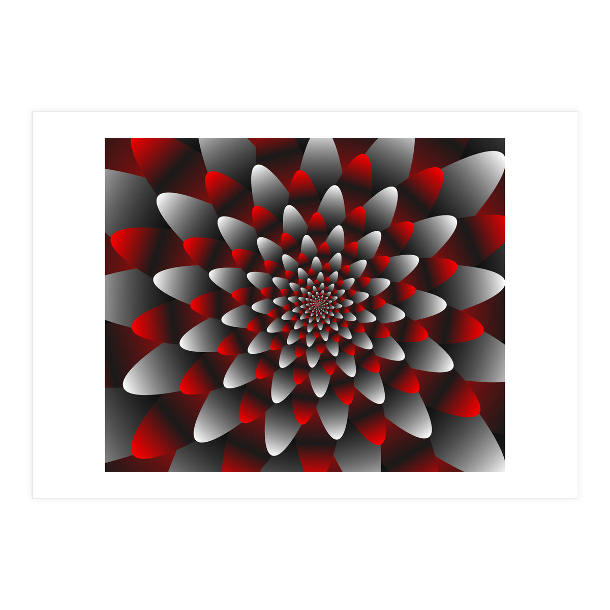 Beautiful Modern Flower Graphics (Print Only)