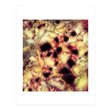 Natural Mechanism (Print Only) thumbnail