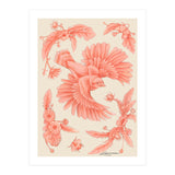 Crockery  (Print Only) thumbnail