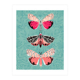 Lepidoptery Study No. 6 (Print Only) thumbnail