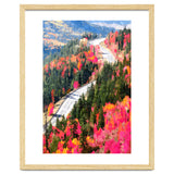 Valley of Pink Trees | Fantasy Pop of Color Forest Nature | Jungle Adventure Road Trip Pine thumbnail