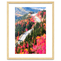 Valley of Pink Trees | Fantasy Pop of Color Forest Nature | Jungle Adventure Road Trip Pine