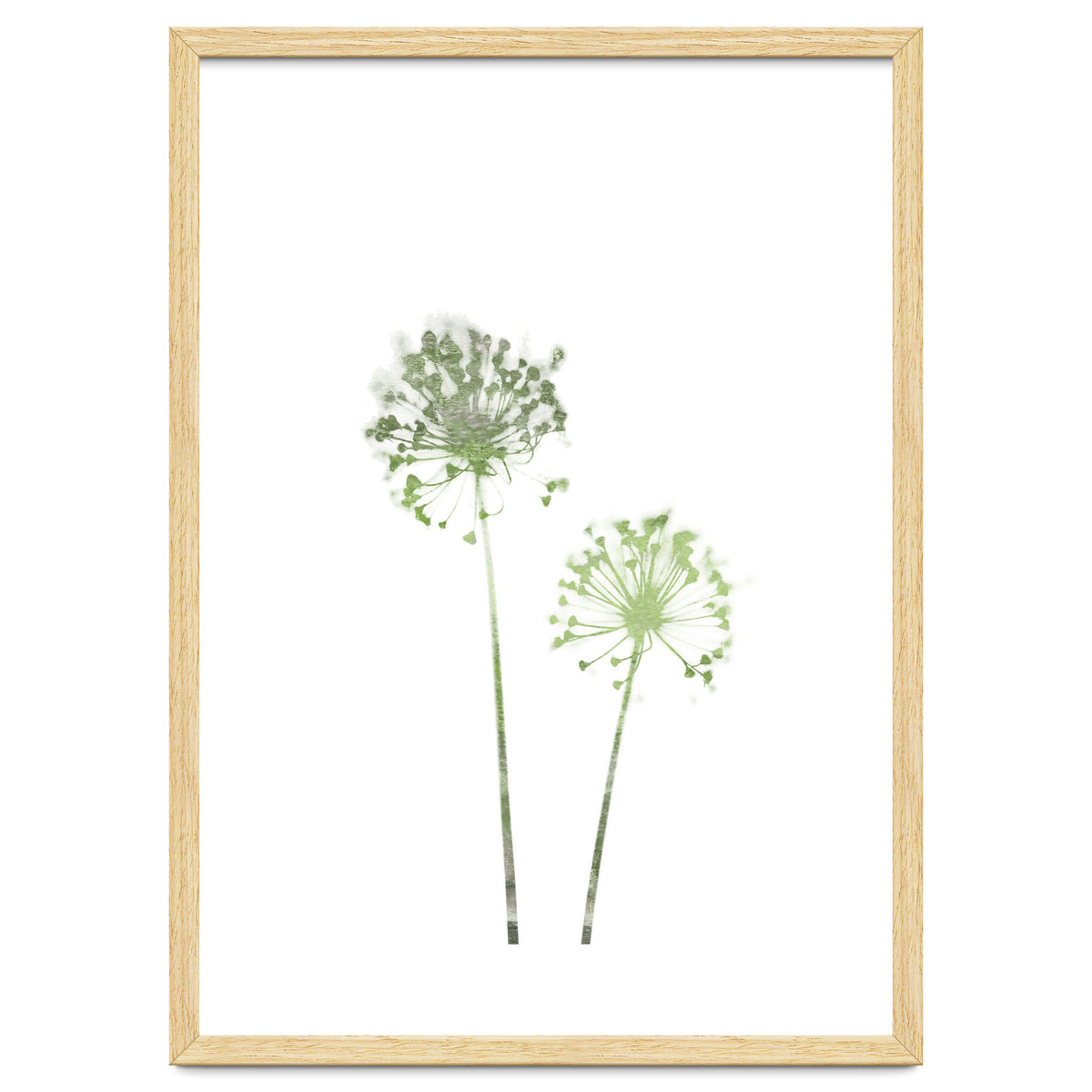 Olive Green Dandelion