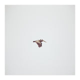 Solo Flight (Print Only) thumbnail