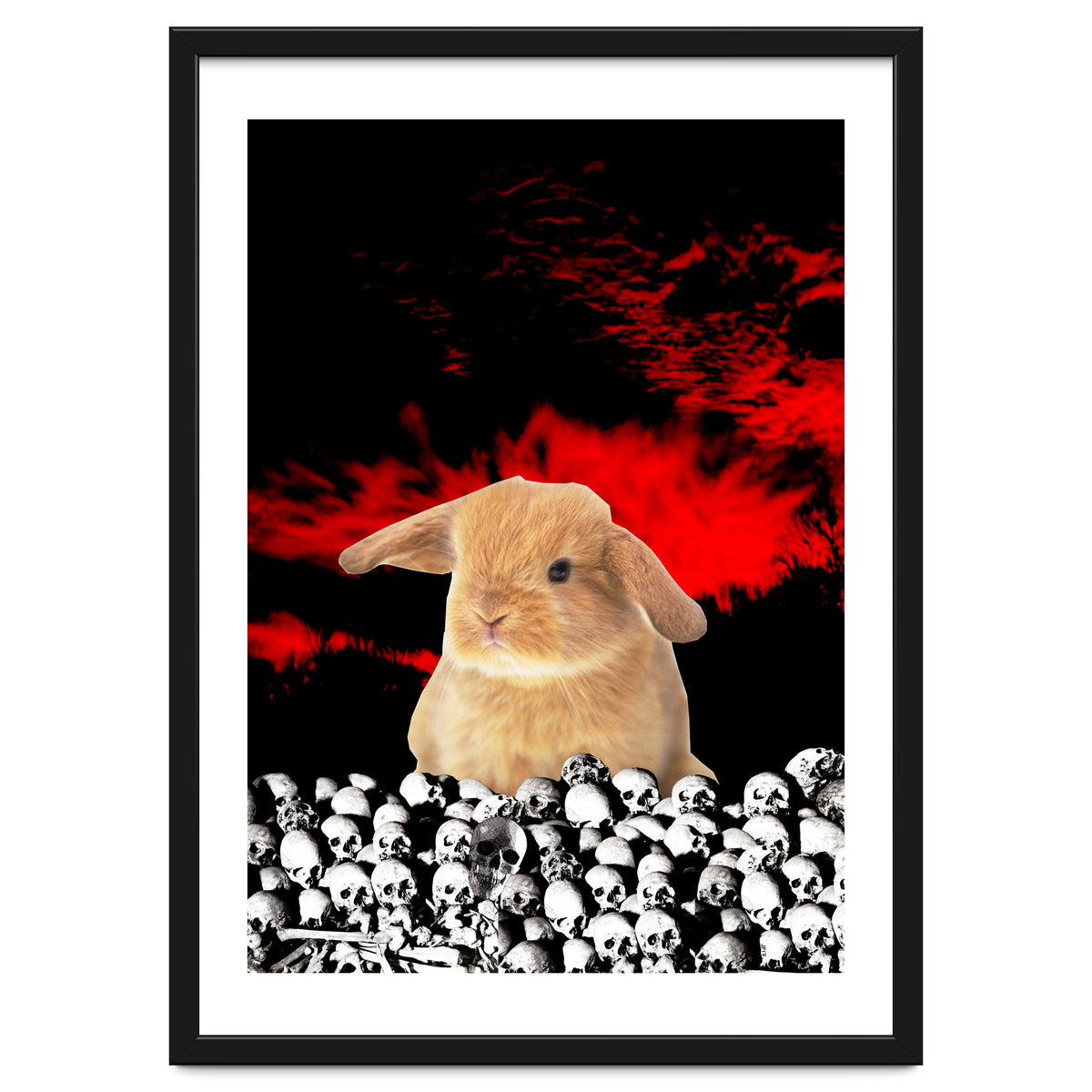 Bunny Of The Apocalypse
