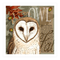 Barn Owl (Print Only)