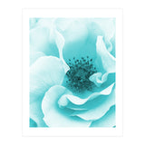 Blue Rose (Print Only) thumbnail