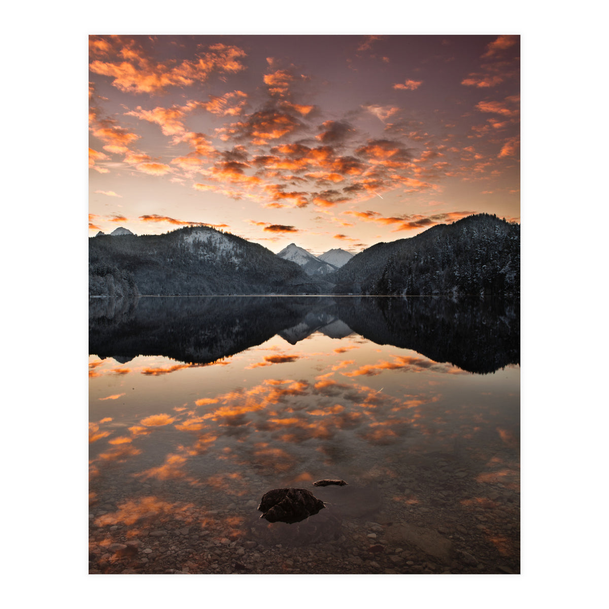 Magestic (Print Only)