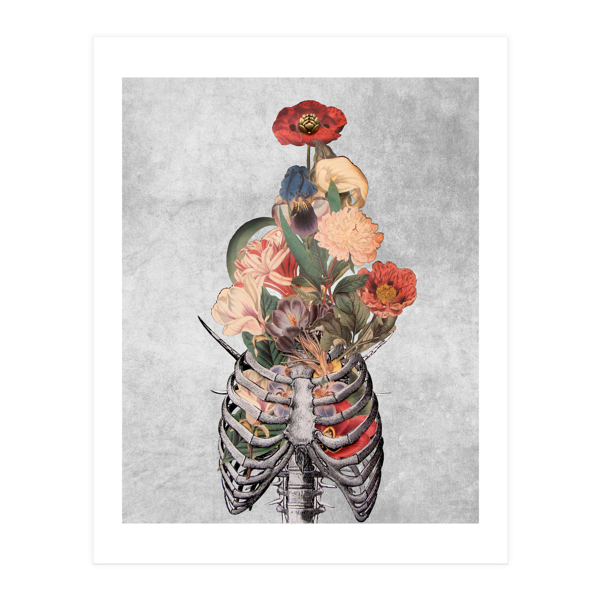 arte vittoriana (Print Only)