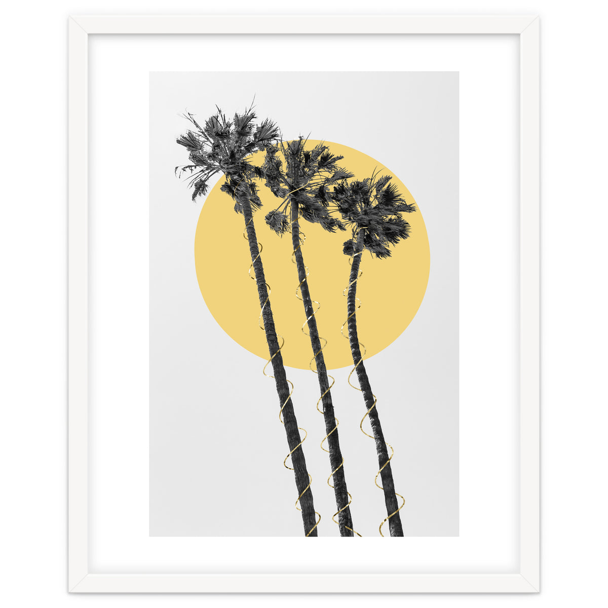 Palm Trees in the sun