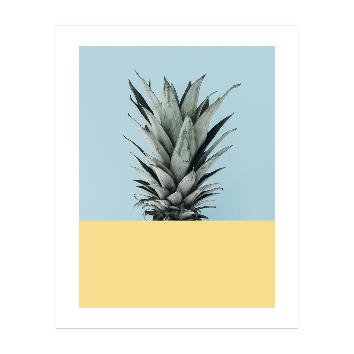 Scandinavian pineapple III (Print Only)