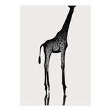 Giraffe  (Print Only) thumbnail