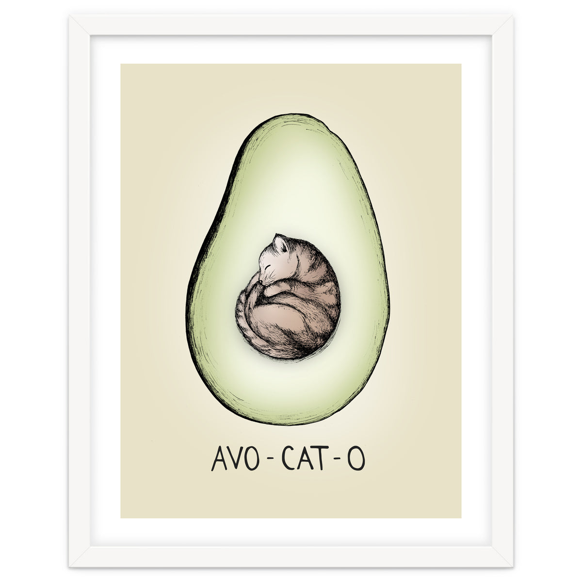 Avo-cat-o