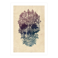 Skull Floral  (Print Only)