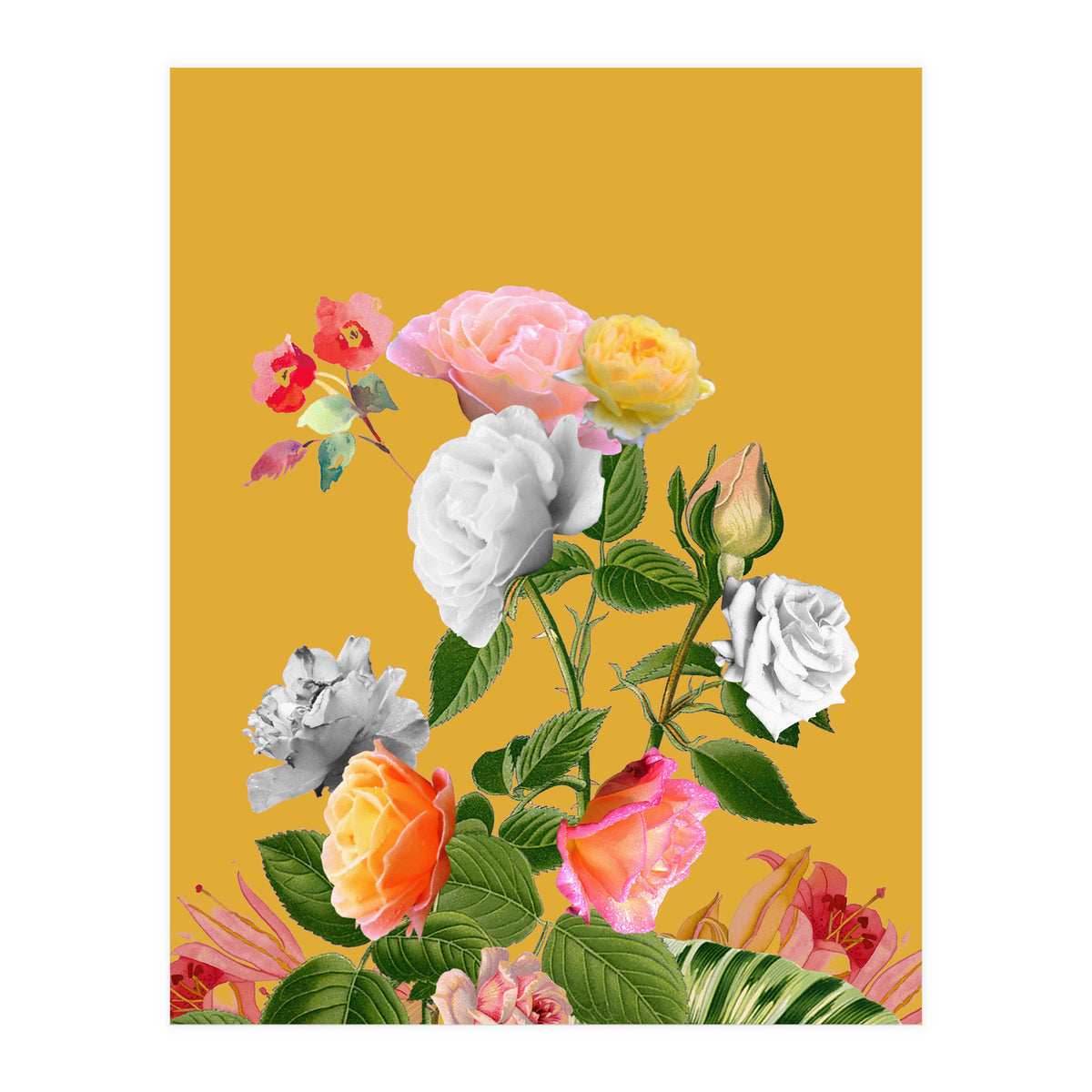 Floral Pop (Print Only)