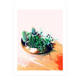 Cacti In A Copper Pot (Print Only) thumbnail