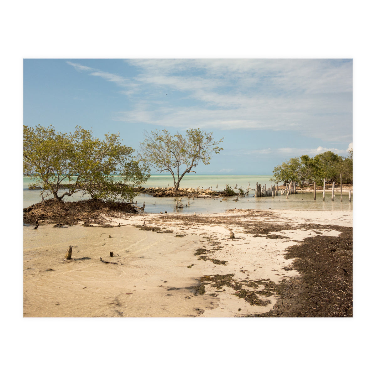 Yucatan beach (Print Only)
