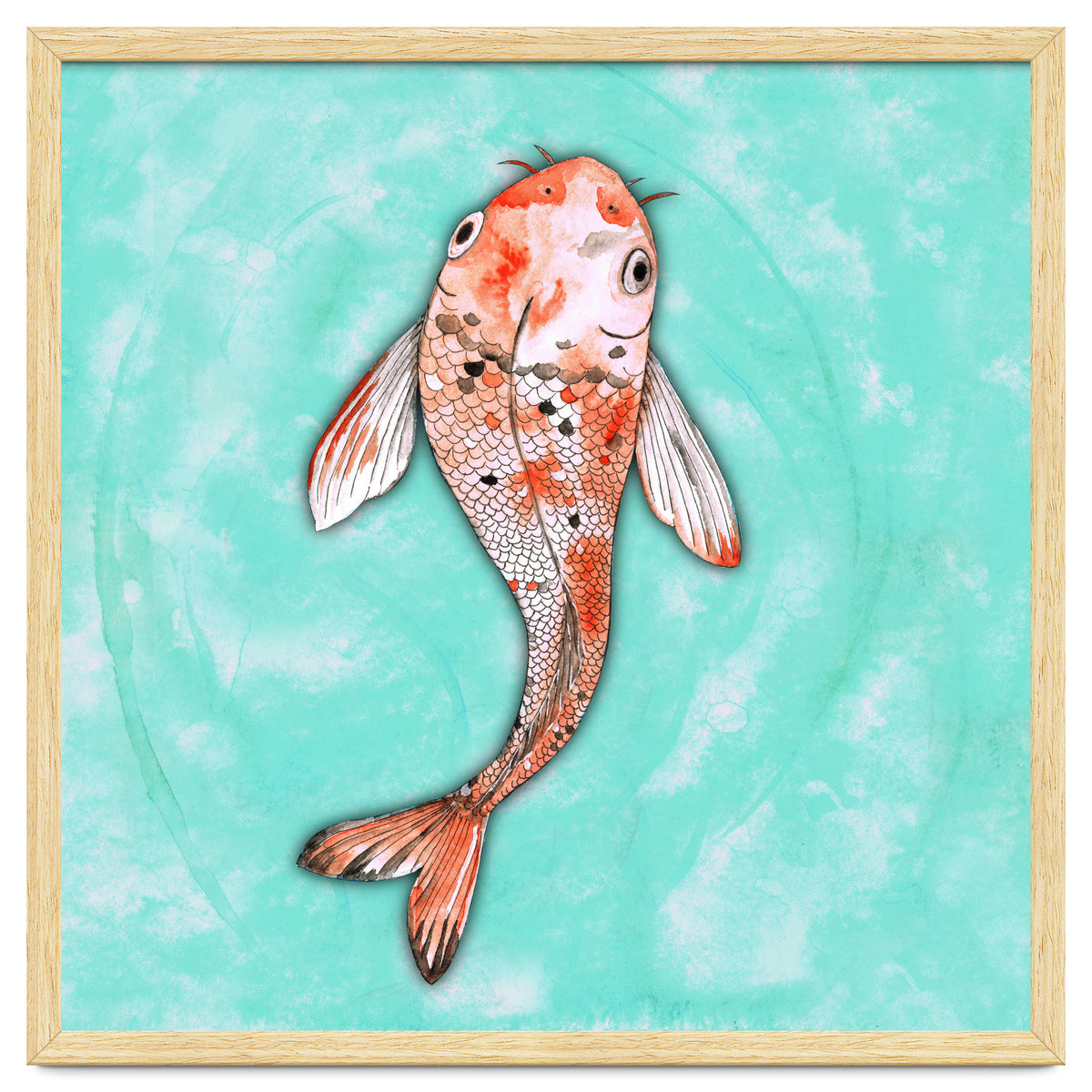 Koi fish