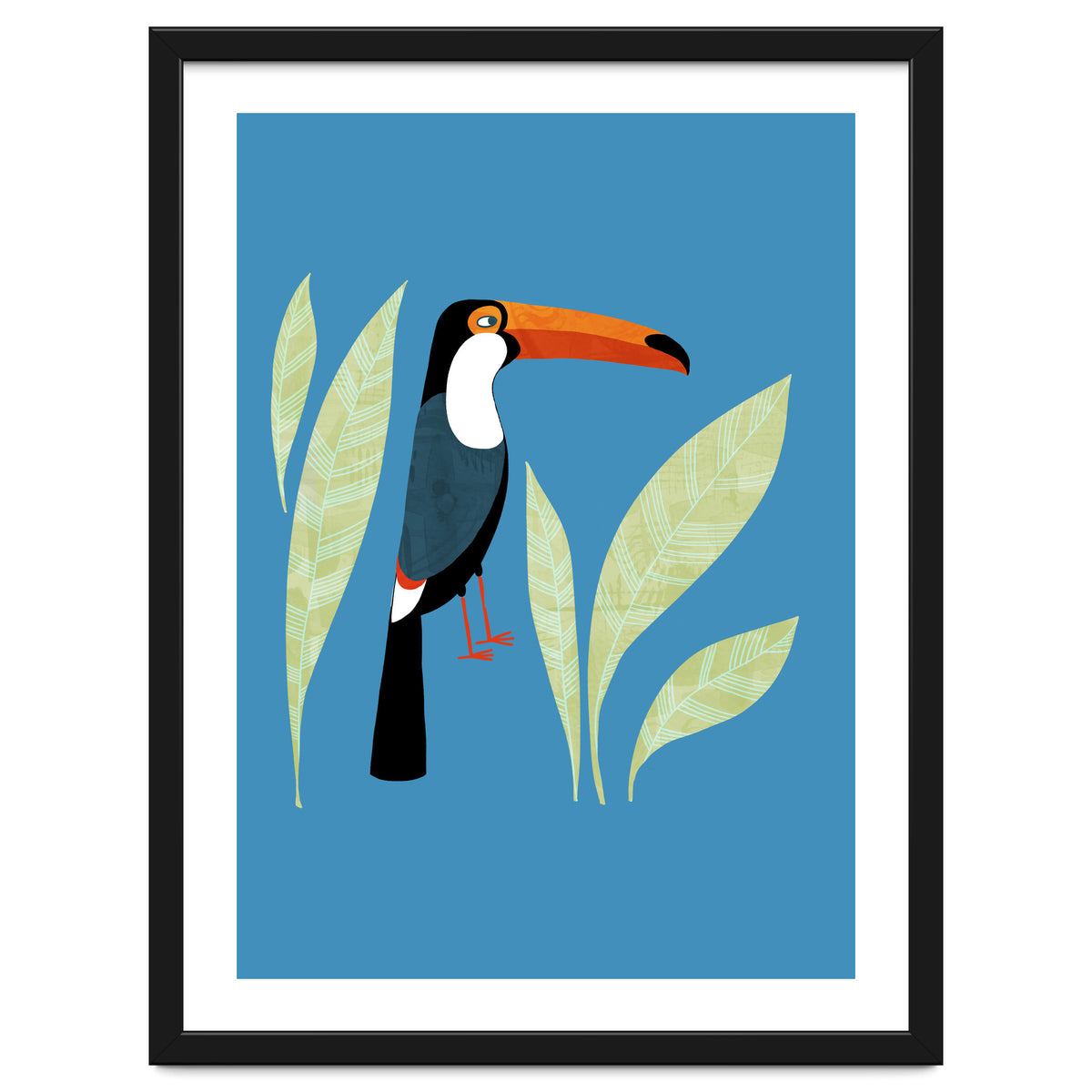 Toucan