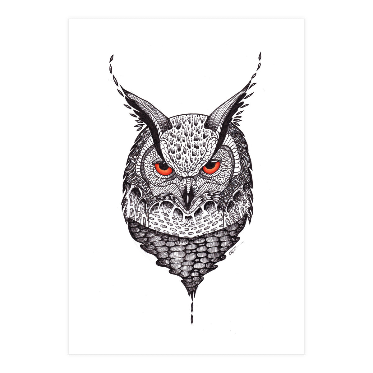 Owl (Print Only)