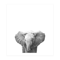 Black and White Baby Elephant  (Print Only)
