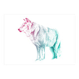 Wolf  (Print Only) thumbnail