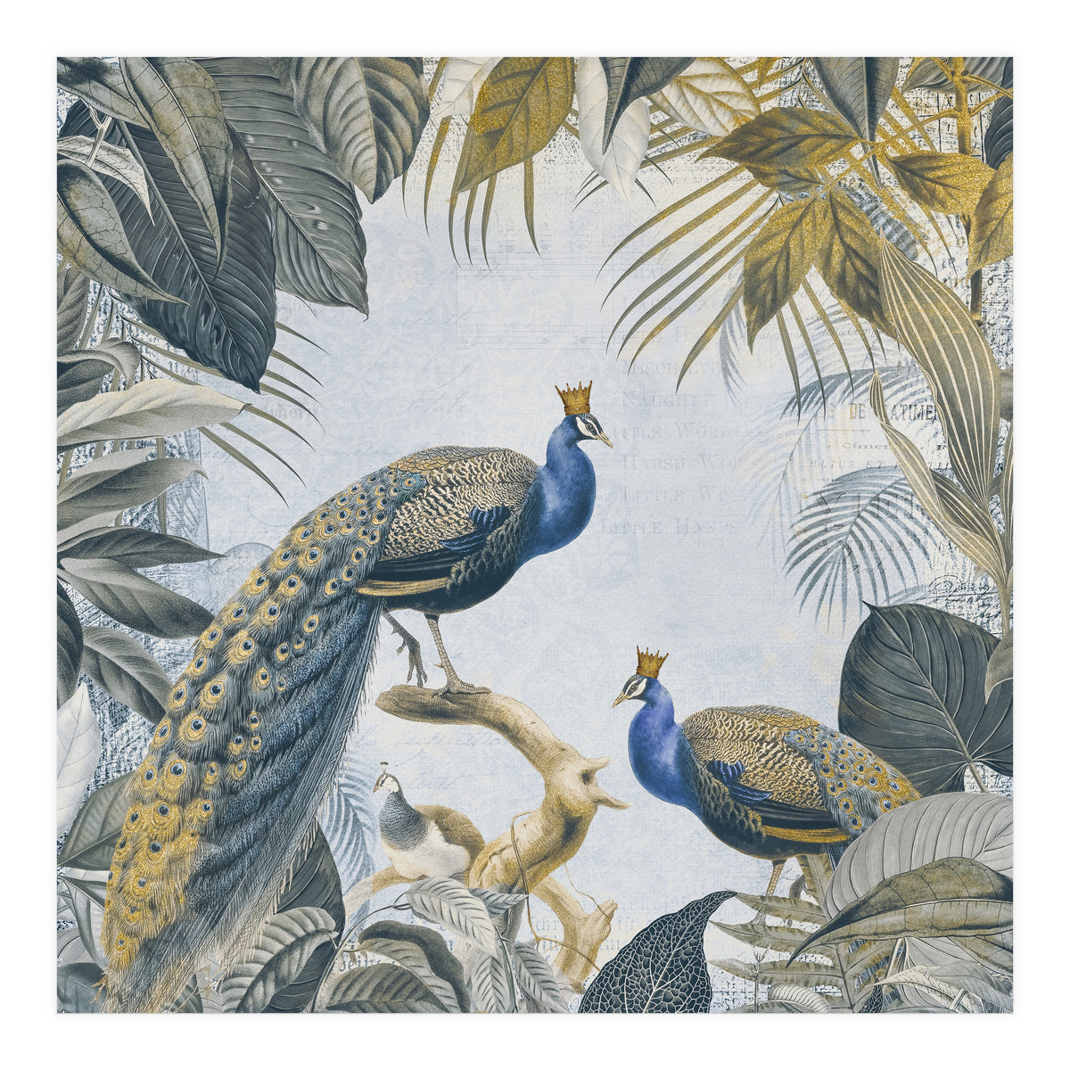 Fantastic Peacock Kings Gold Look (Print Only)