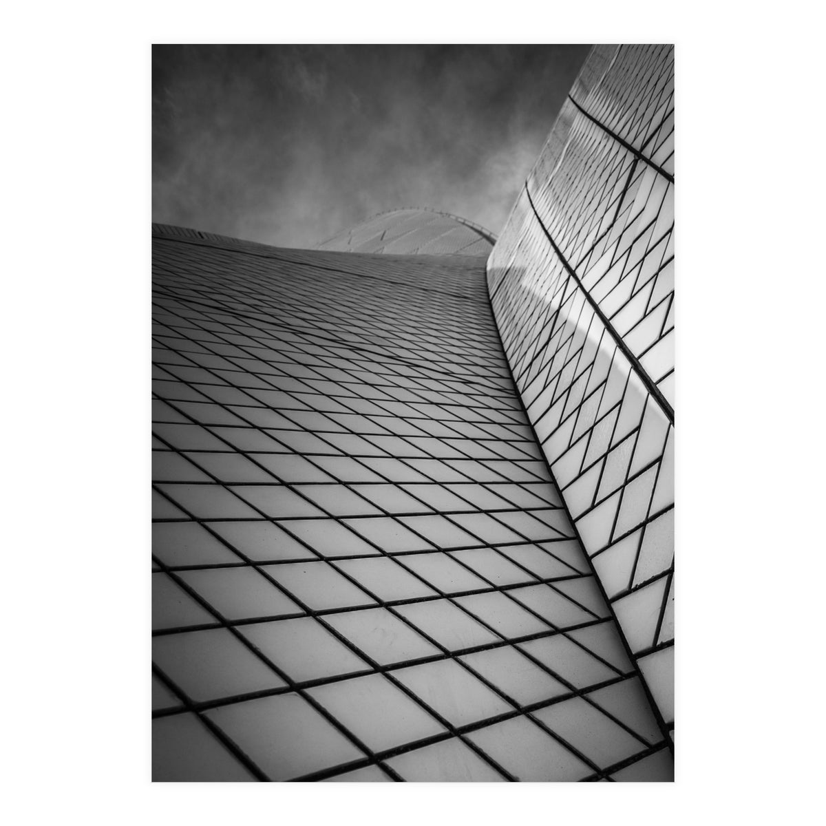 The Sails (Print Only)