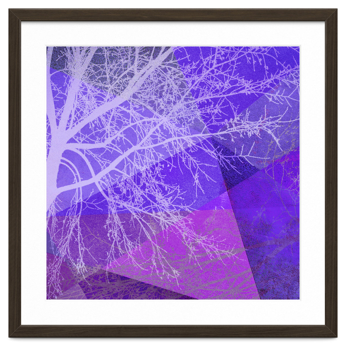 P19-D2 Trees and Triangles