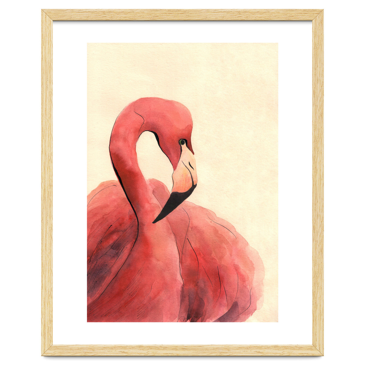 Flamingo