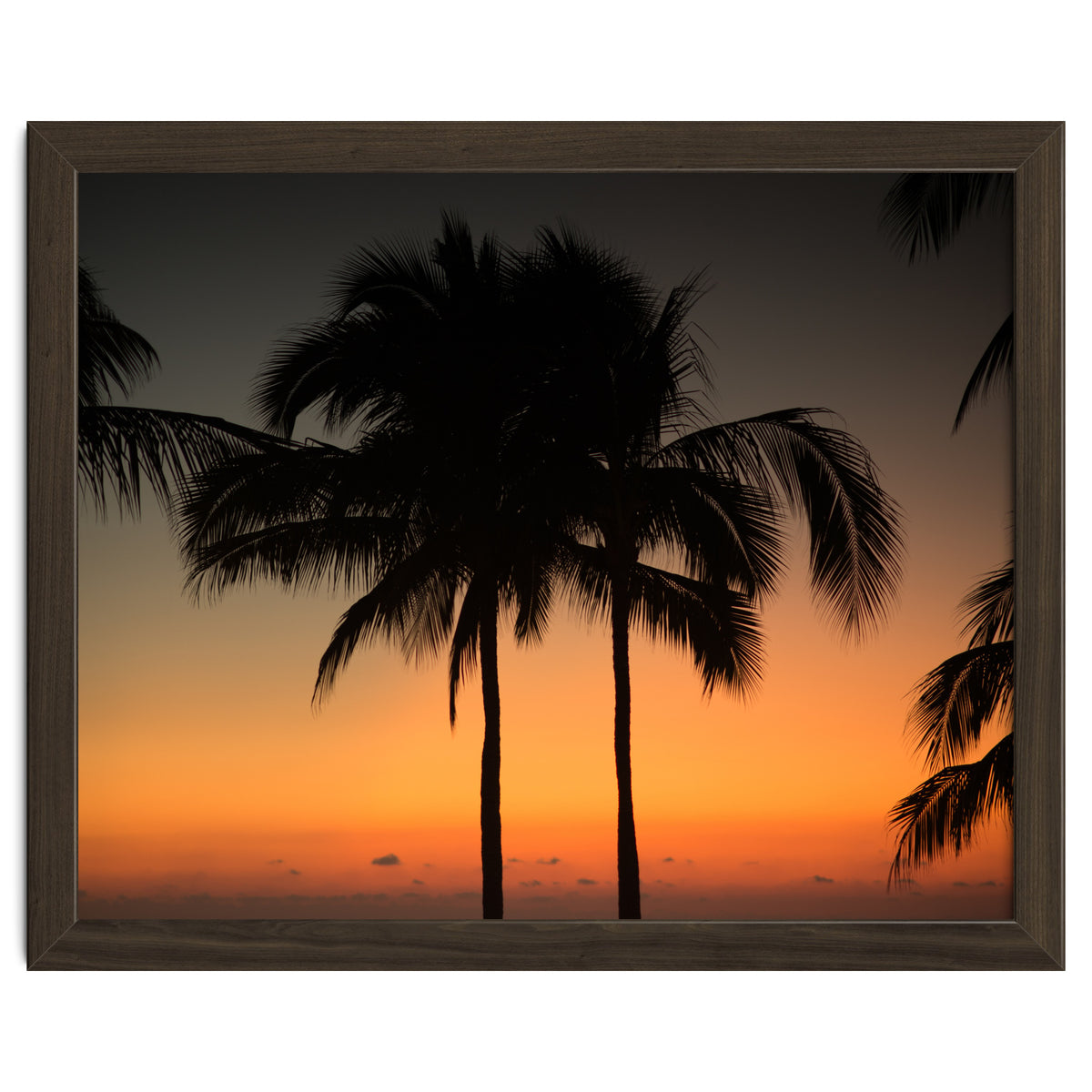 Mexico, November nights