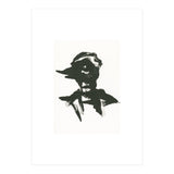 Boy (Print Only) thumbnail