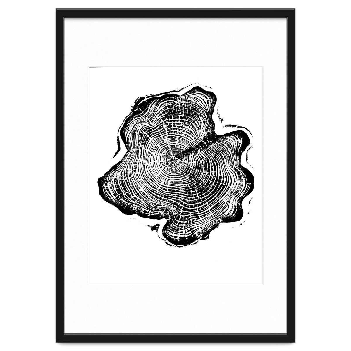 Alaskan Cypress, Tree Ring Art Print, Woodblock