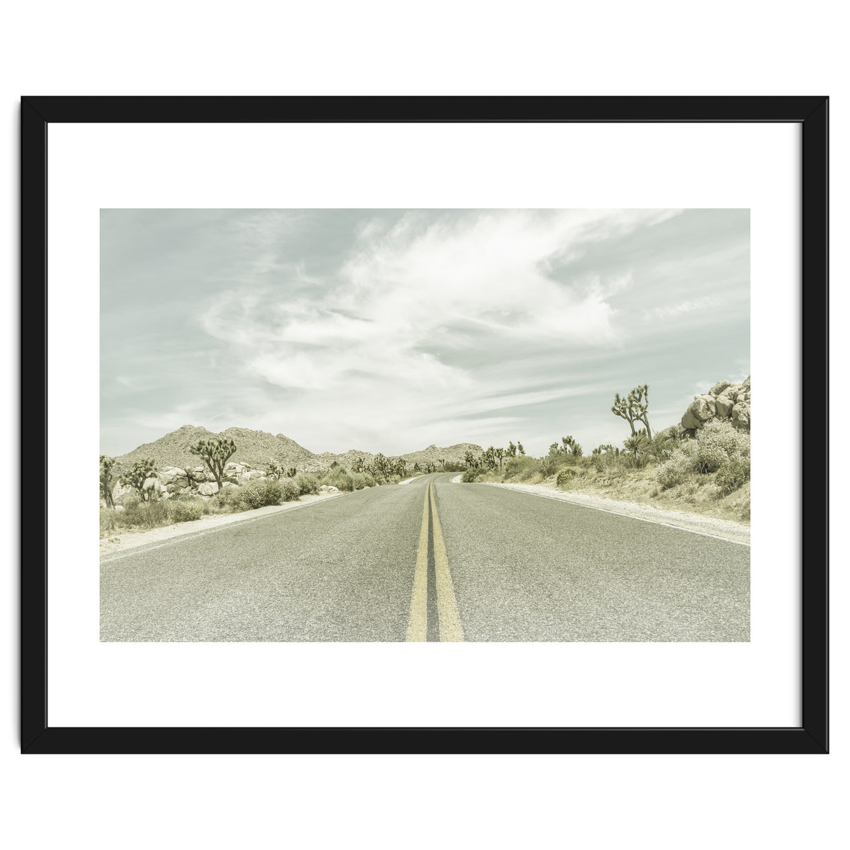 Joshua Trees, Park Boulevard | Vintage
