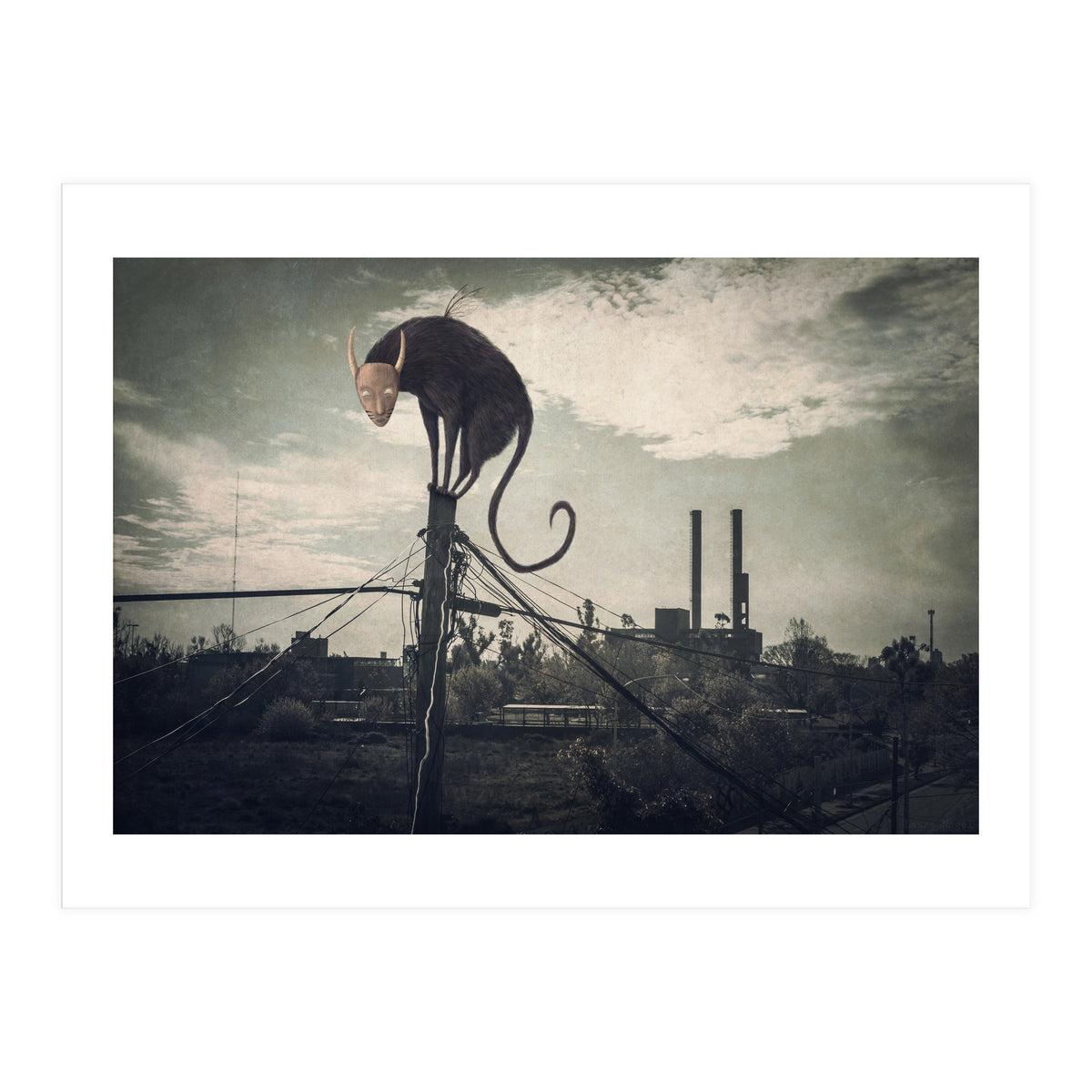 Bicho volador (Print Only)