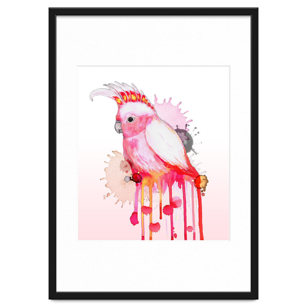 Major Mitchell's cockatoo