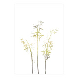 Neutral Hosta (Print Only) thumbnail