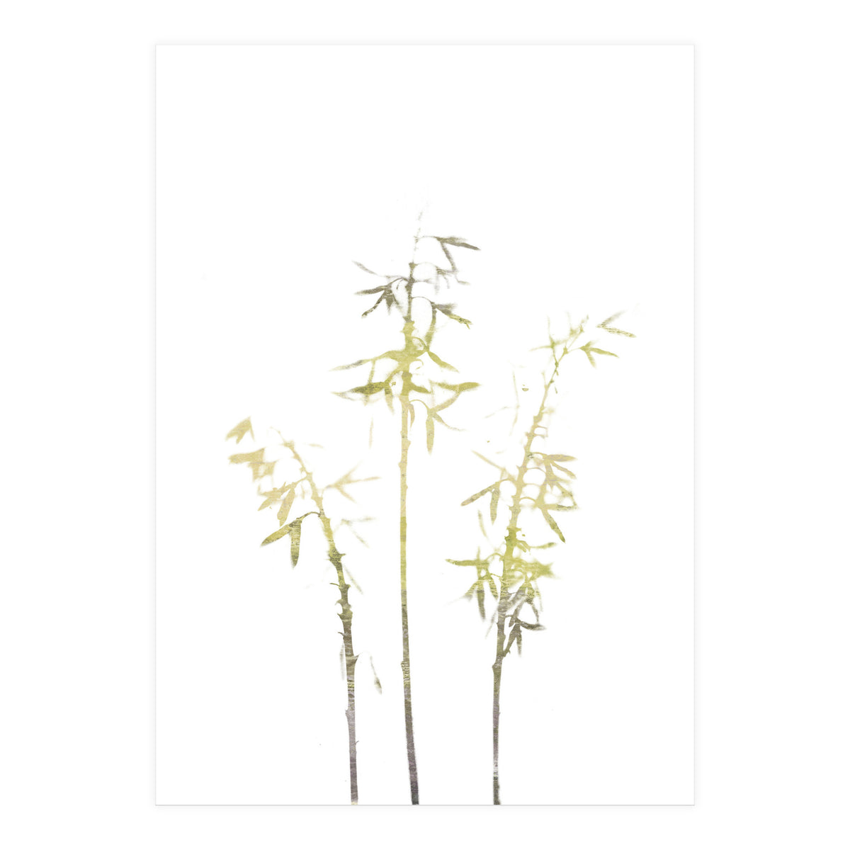 Neutral Hosta (Print Only)