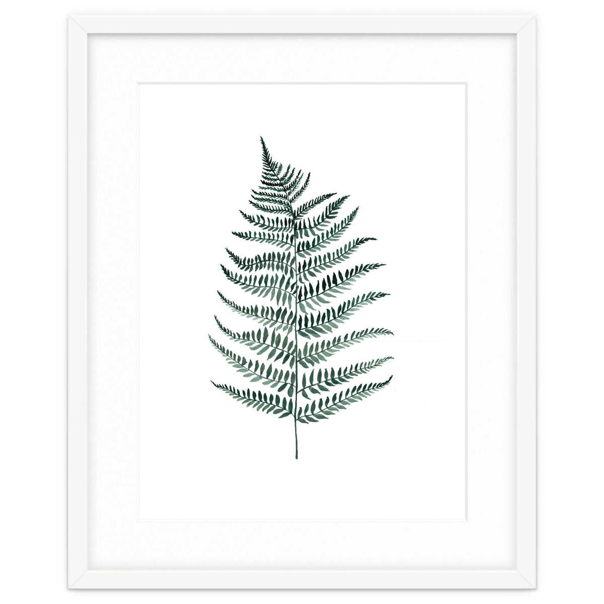 Botanical Illustration Silverfern