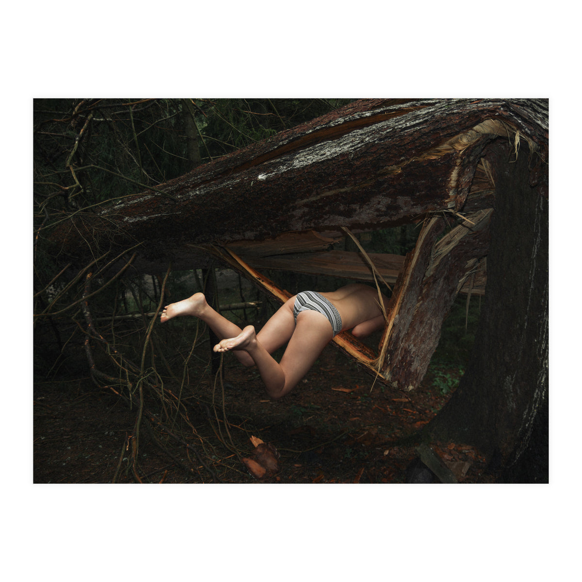 Don’t go There, It’s a Trap (Print Only)