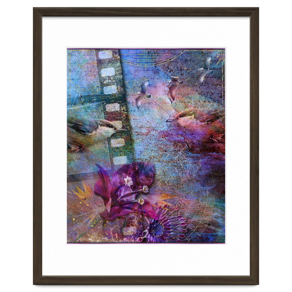 Watching the Wild World