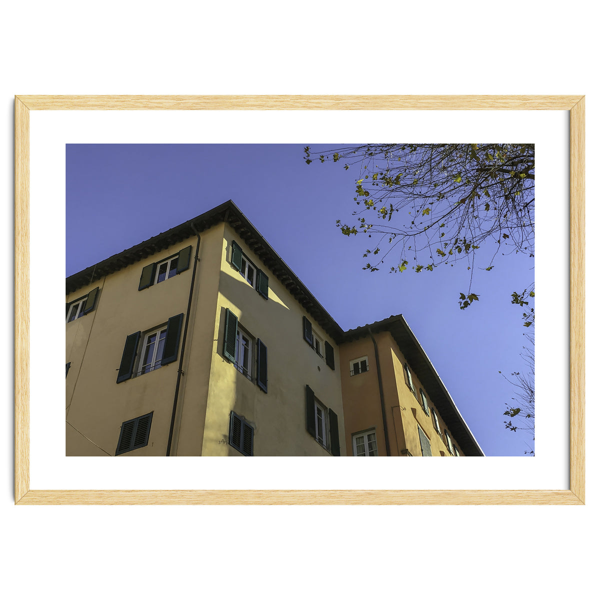 Windows From Tuscany 2