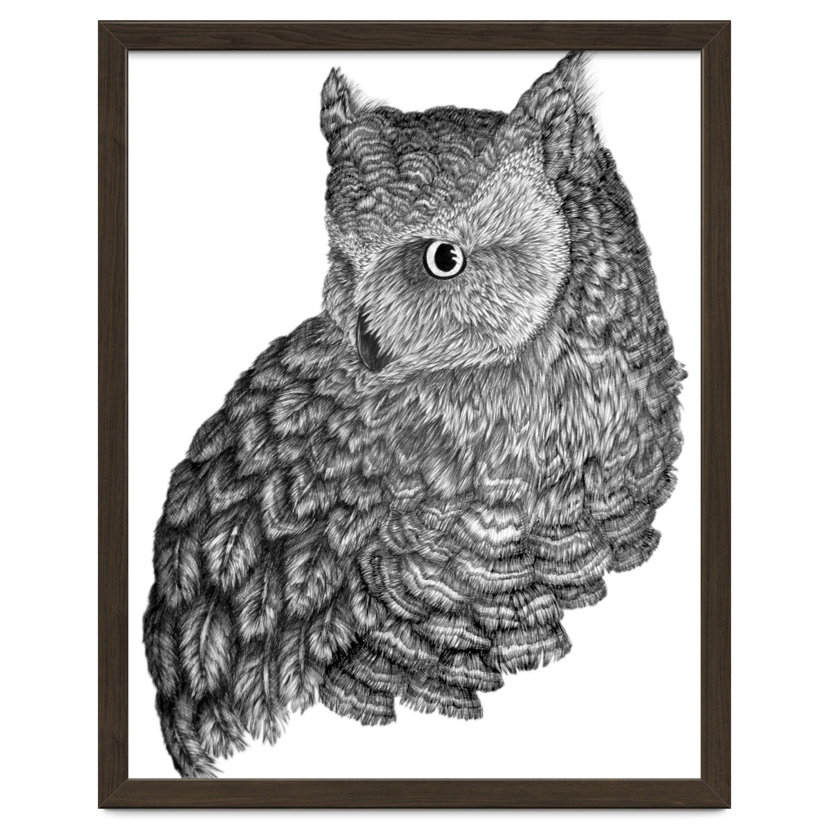 A Friend For Forsythe