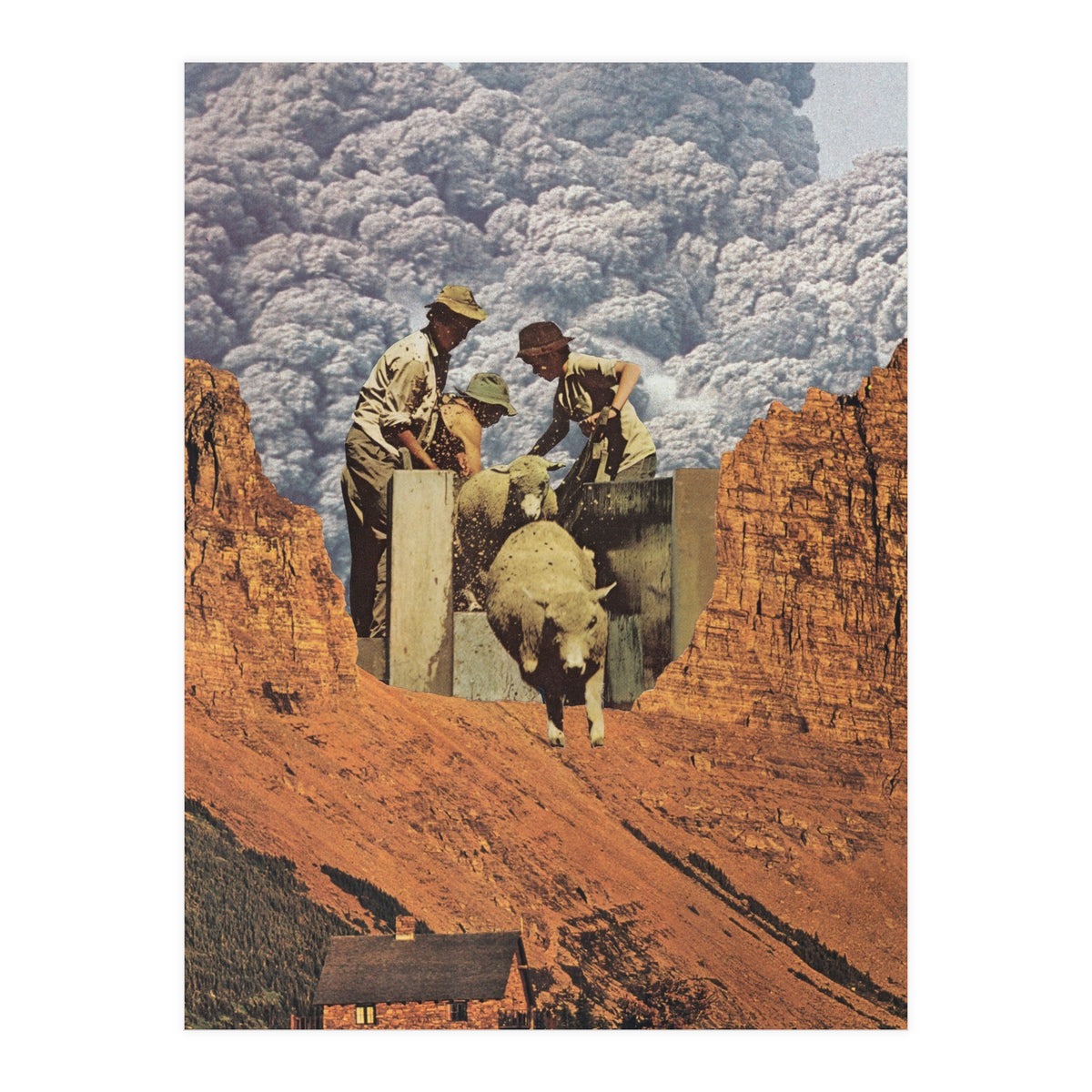 Dirty Sheep (Print Only)