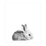 Black and White Bunny Portrait (Print Only) thumbnail