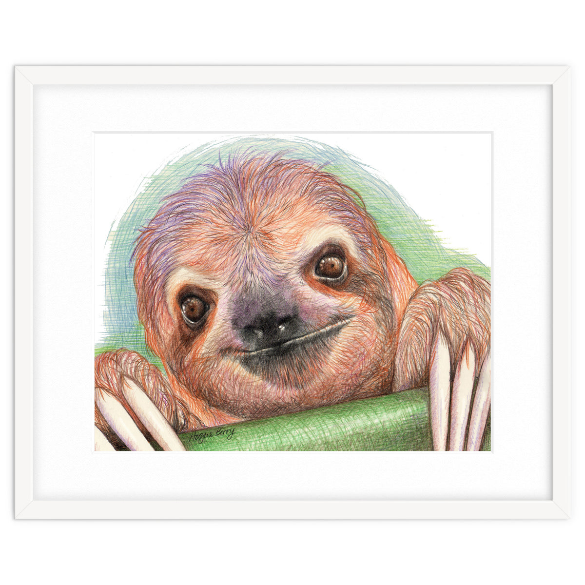 Smiling Sloth