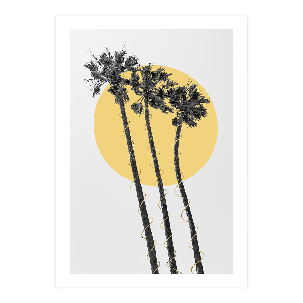 Palm Trees in the sun  (Print Only)