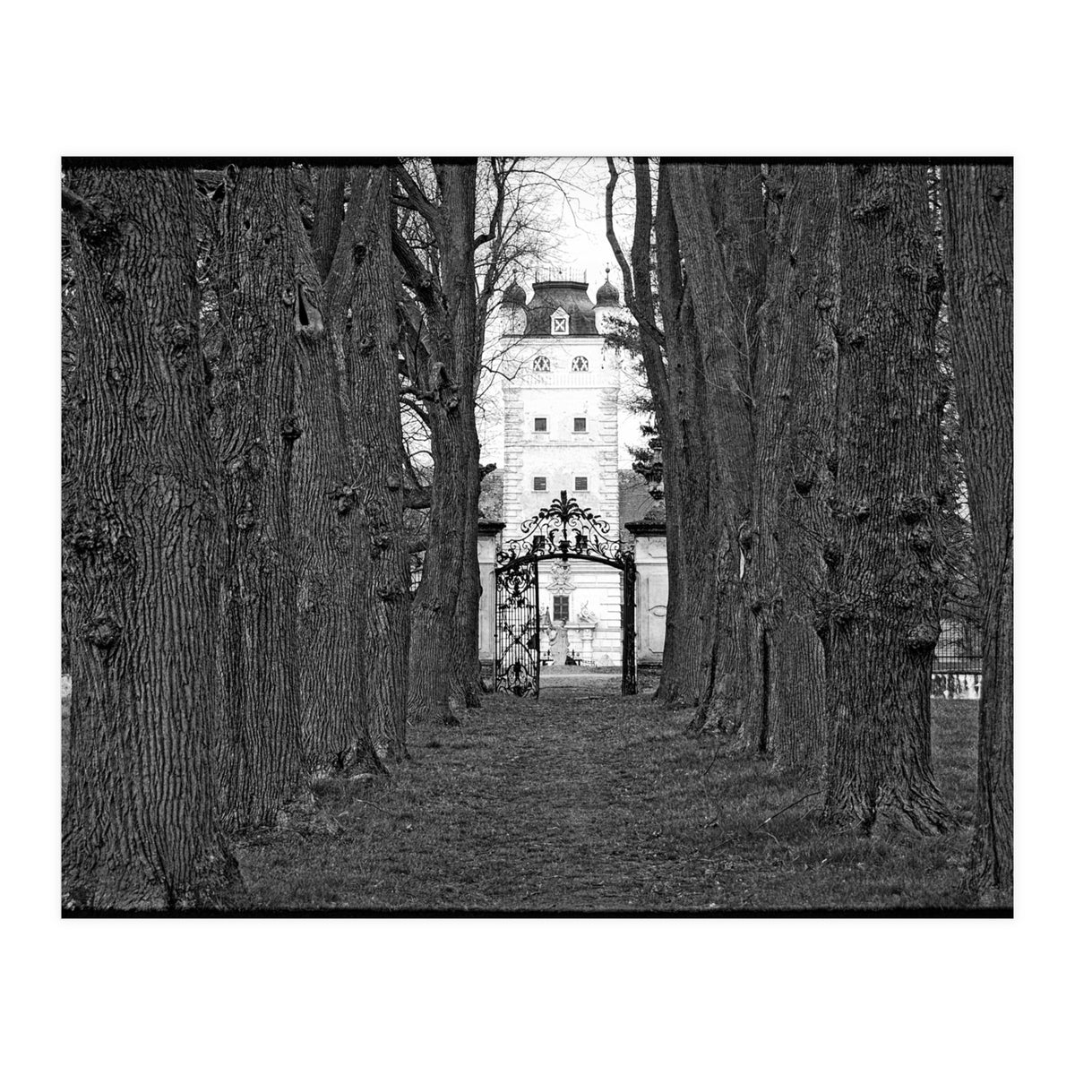 Old alley (Print Only)